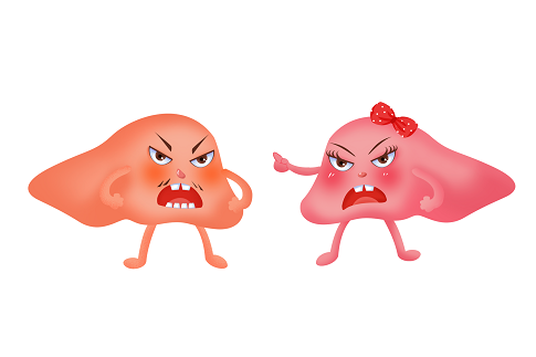 1658937847352243.png 攝圖網_402173935_愛護肝臟(企業商用).png