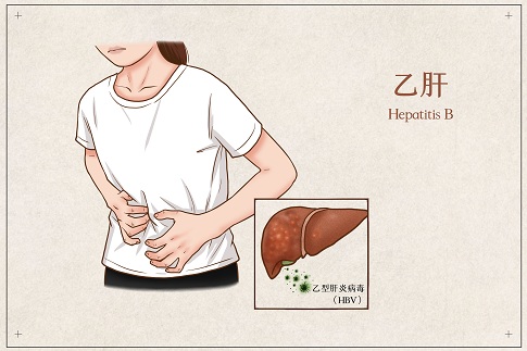 1659887562234537.jpg 攝圖網(wǎng)_401800858_乙肝醫(yī)療插畫(huà)(企業(yè)商用).jpg
