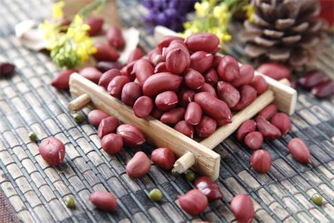 1663873952461701.jpg 攝圖網_500892210_banner_花生(非企業商用).jpg