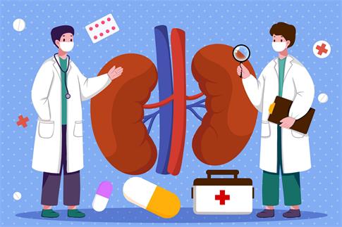 1676916426624383.jpg 攝圖網(wǎng)_402163482_banner_腎臟醫(yī)療插畫(企業(yè)商用).jpg