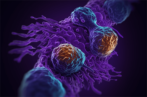 1687742198274768.jpg 攝圖網(wǎng)_600066855_banner_胰腺癌示意圖(企業(yè)商用).jpg