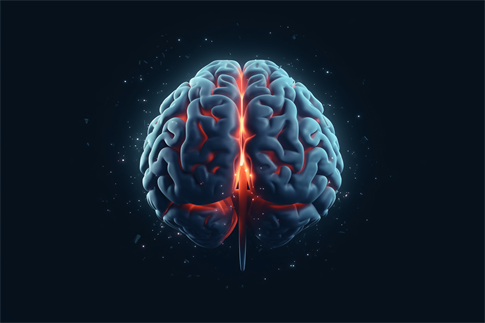 1702862866484250.jpg 攝圖網_600073178_人腦概念圖(企業商用).jpg