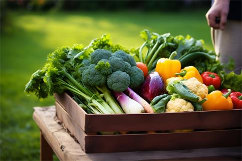 1722037755163445.jpg 攝圖網_601331474_健康的菜籃子(企業商用).jpg