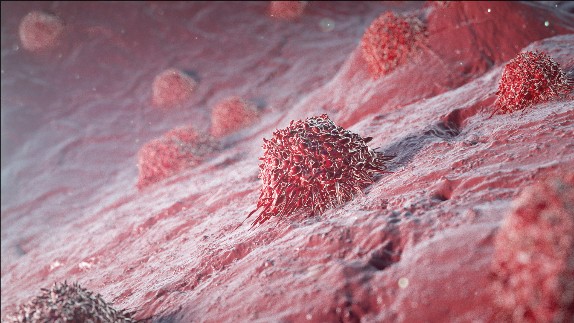 �޸ĳߴ� (1).jpeg