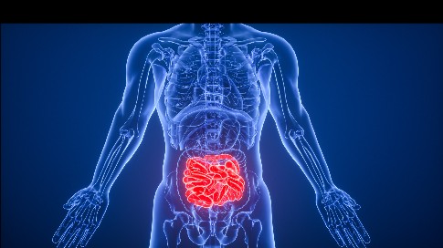 1744855259561938.jpeg 修改尺寸.jpeg