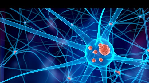 1746665155947509.jpeg 修改尺寸 (3).jpeg