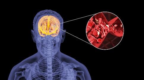 1746834203755931.jpeg 修改尺寸 (5).jpeg