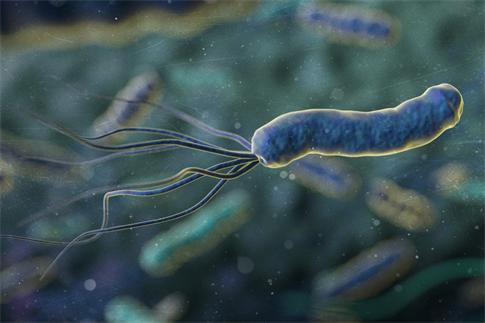 1752020160827414.jpg 攝圖網(wǎng)_401909522_banner_幽門螺桿菌(企業(yè)商用).jpg