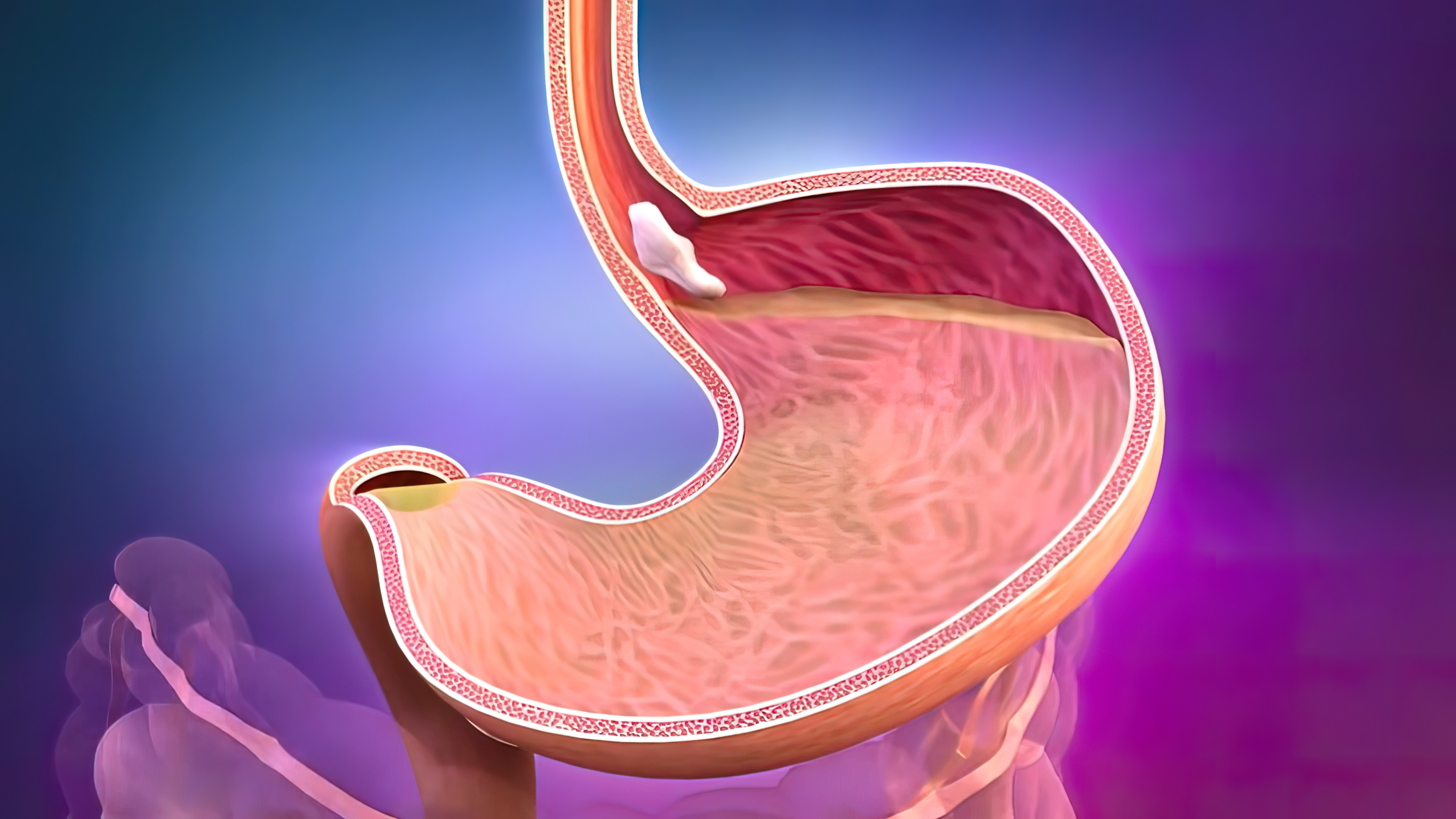 1756167011221292.jpg 1756167011221292.jpg